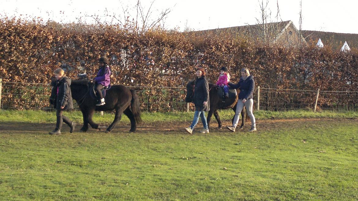 Trække ture til Jule messen på Gram Slot billede 77