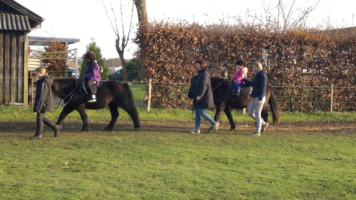 Trække ture til Jule messen på Gram Slot billede 78