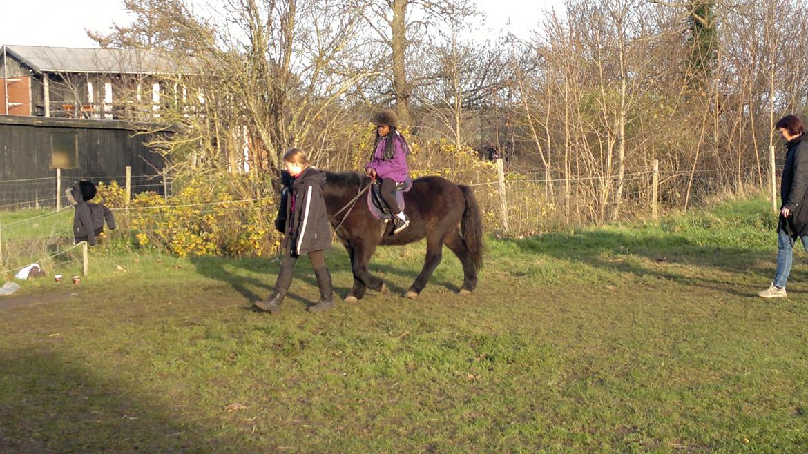 Trække ture til Jule messen på Gram Slot billede 79