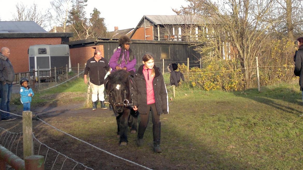 Trække ture til Jule messen på Gram Slot billede 80