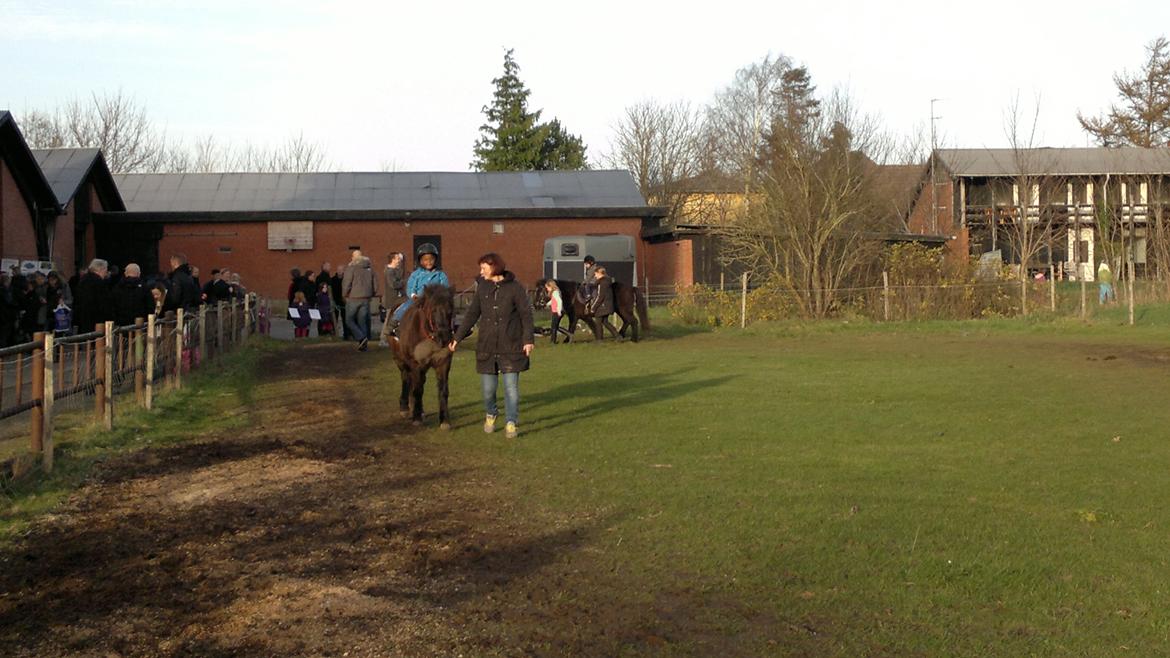 Trække ture til Jule messen på Gram Slot billede 81