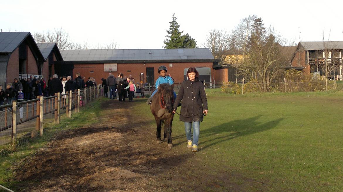 Trække ture til Jule messen på Gram Slot billede 82