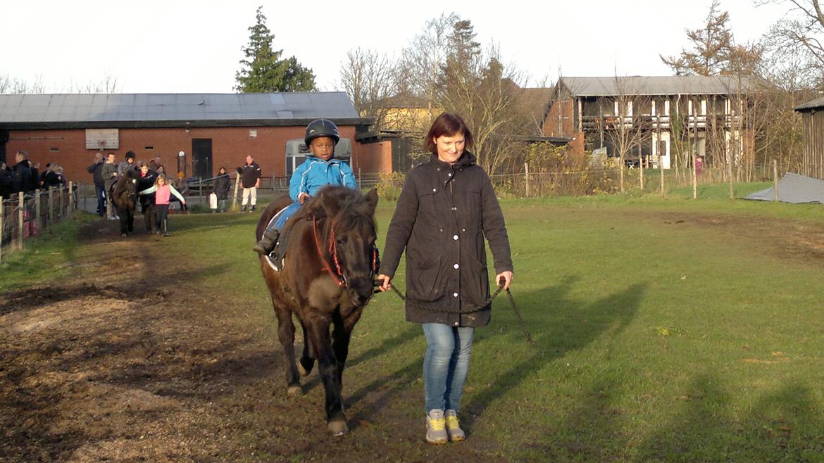 Trække ture til Jule messen på Gram Slot billede 83