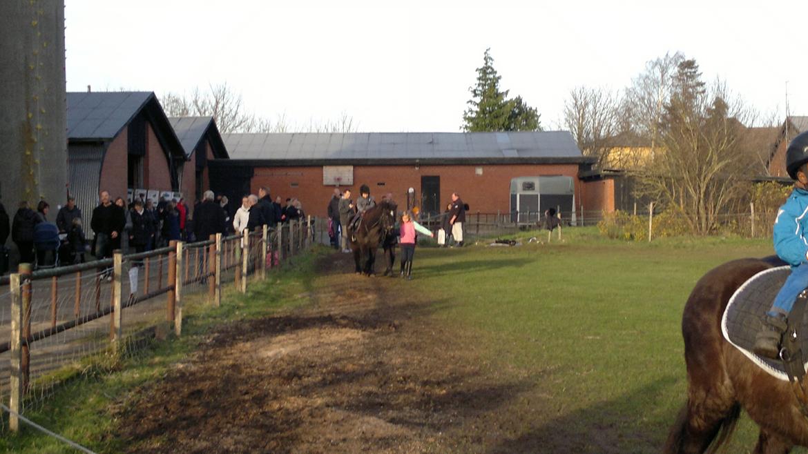 Trække ture til Jule messen på Gram Slot billede 84