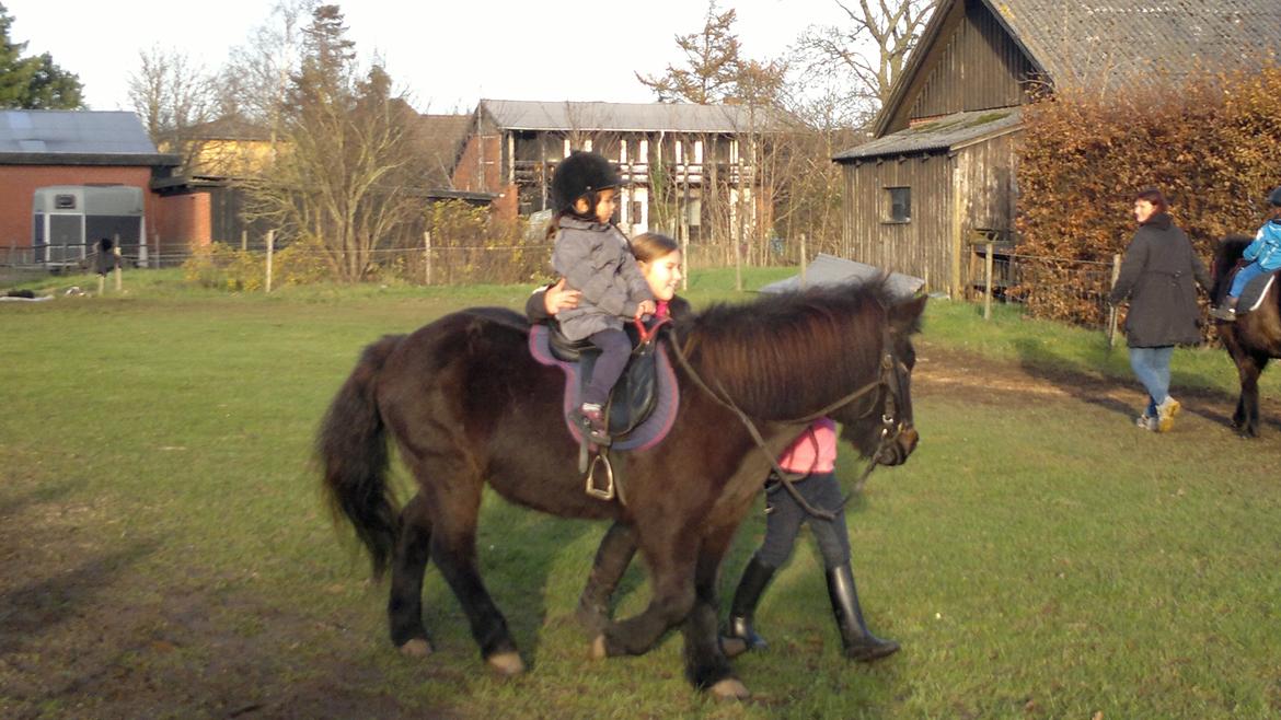 Trække ture til Jule messen på Gram Slot billede 85