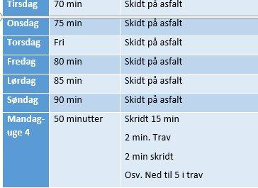 genoptræningsprogram  - del 2  billede 2