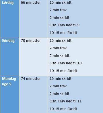 genoptræningsprogram  - del 4  billede 4