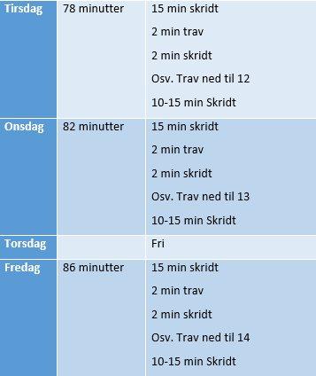 genoptræningsprogram  - del 5  billede 5