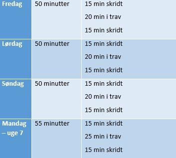 genoptræningsprogram  - del 7  billede 7
