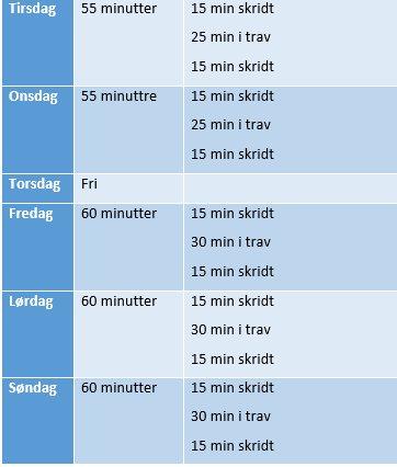 genoptræningsprogram  - del 8  billede 8