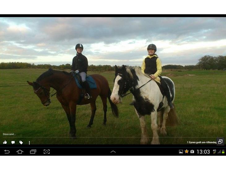 {{currentPhoto.altText}} billede {{currentPhoto.number}}