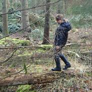 Rainbow Picata og Indy på jule-skovtur med tøserne - 2013 