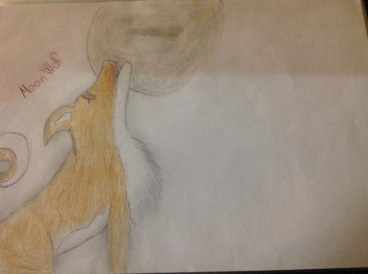 Mine tegninger  - Hurtig tegning ;) billede 5