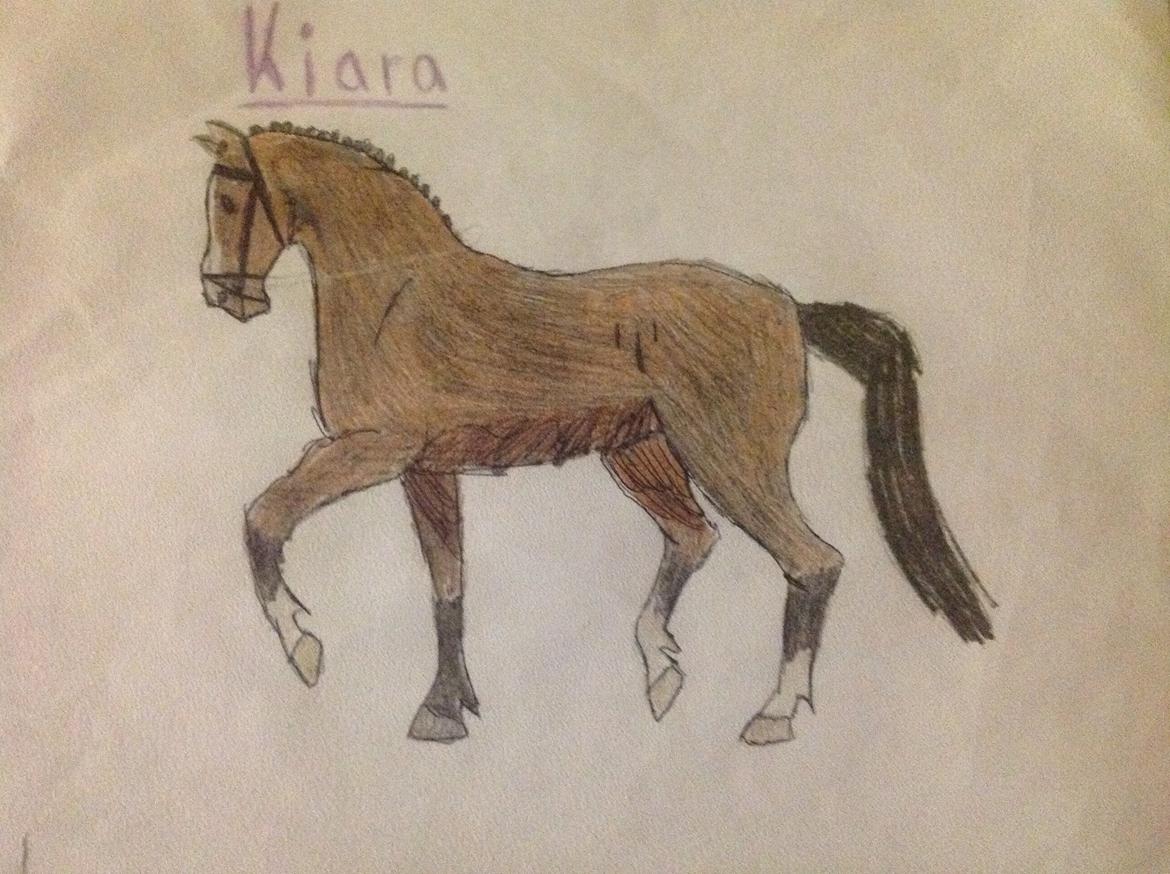 Mine tegninger  - Min hest Kiara billede 6