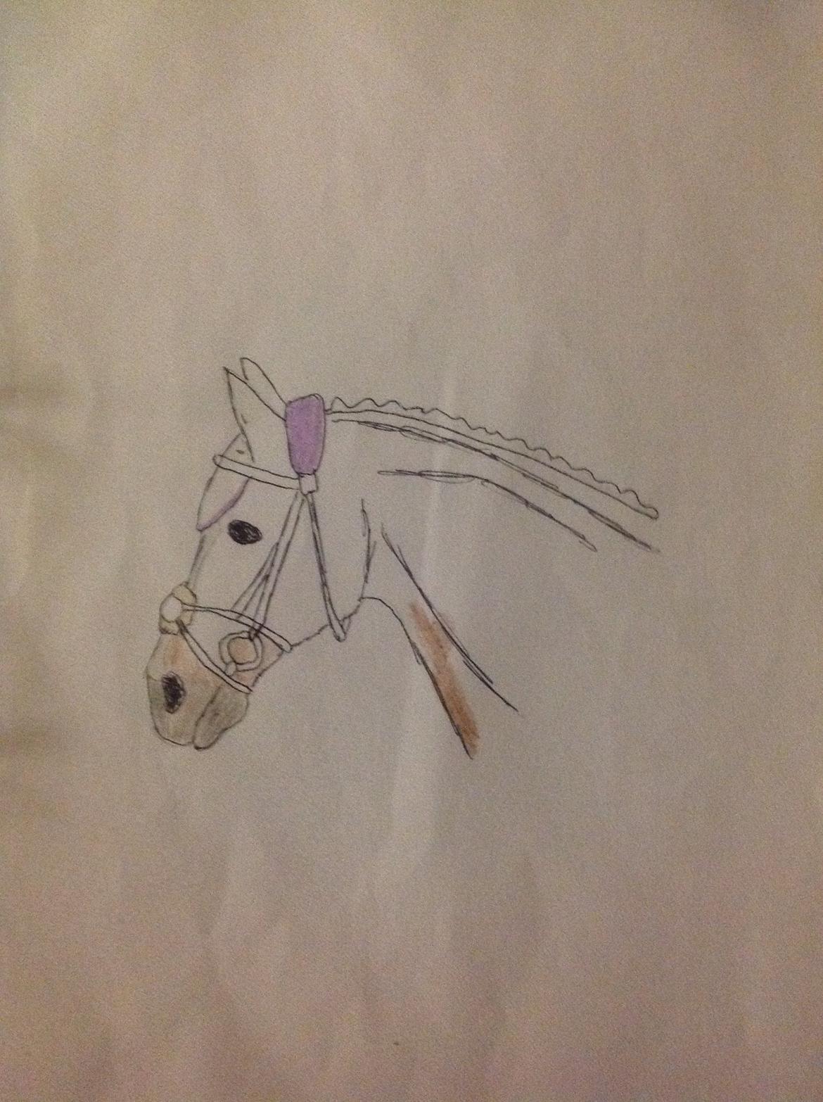 Mine tegninger  - Farvelægning ikke færdig billede 4