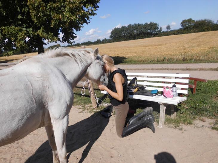 {{currentPhoto.altText}} billede {{currentPhoto.number}}