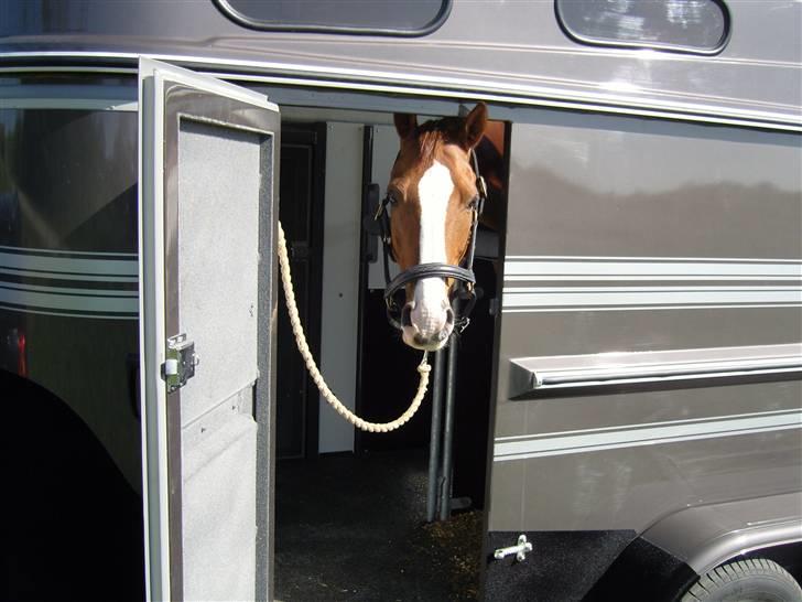 Landstræner kursus 2007 i dressur. - Vi er lige ankommet. billede 1