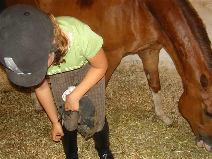 Landstræner kursus 2007 i dressur. - Det var en rigtigt god ridetur billede 2
