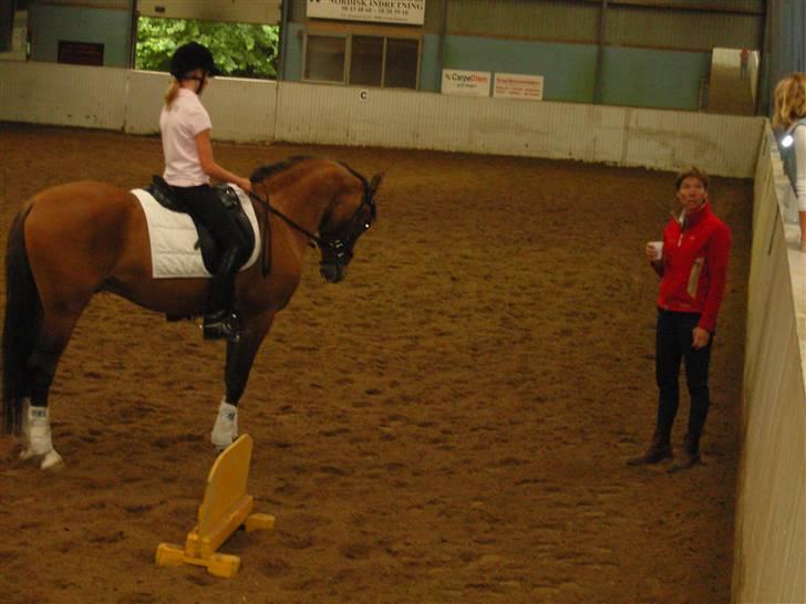 Landstræner kursus 2007 i dressur. - Så er det Carolines Og Cappys ( Desperado ) tur billede 3
