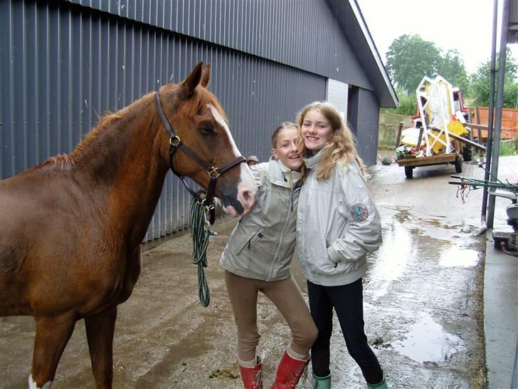 Landstræner kursus 2007 i dressur. - Louise og Simone.. billede 4