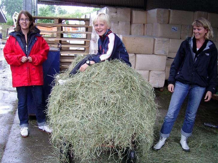 Landstræner kursus 2007 i dressur. - Så skal der gives hø. billede 6