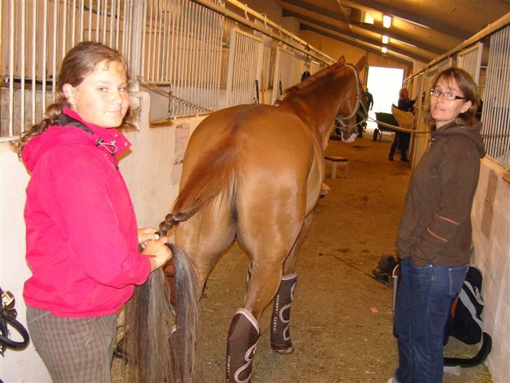 Landstræner kursus 2007 i dressur. - På vej hjem igen. billede 9