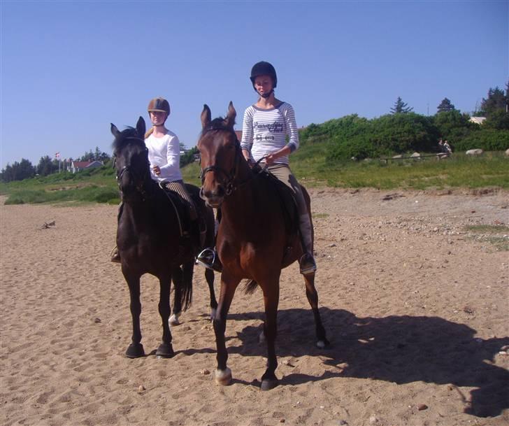 Ridetur på Sjelborg strand med Katrine. - Katrine og Jeg på Sjelborg strand :D billede 1