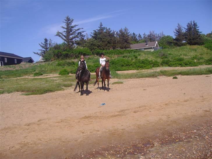 Ridetur på Sjelborg strand med Katrine. - Et lille stop :D billede 9