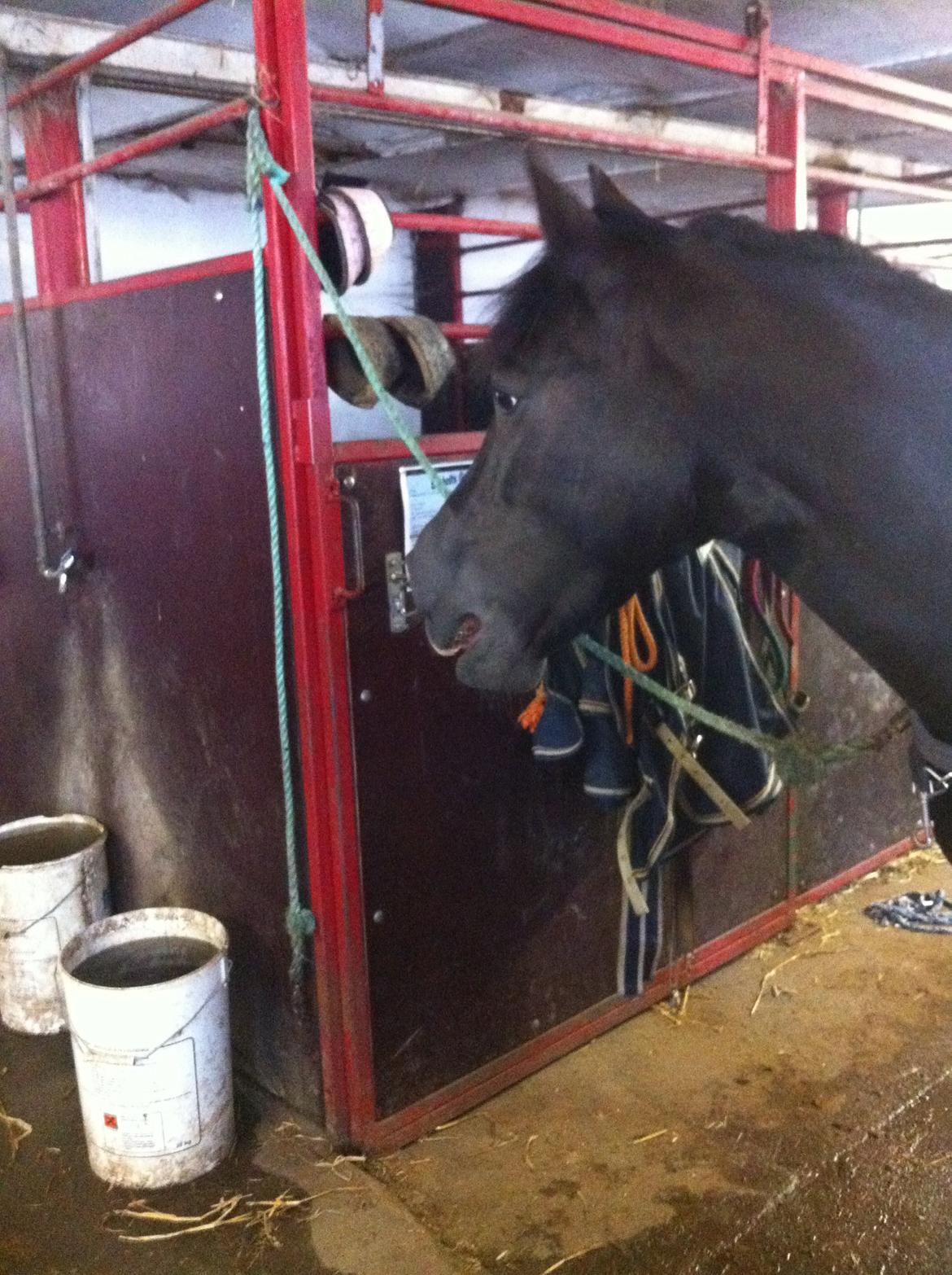 Barbie på stald <3 billede 11