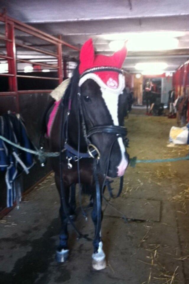 Barbie på stald <3 billede 8