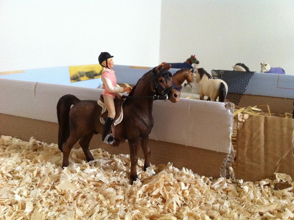 Schleich Araber Kokkedalens Matrix - ude og ride dejlige Matrix billede 2