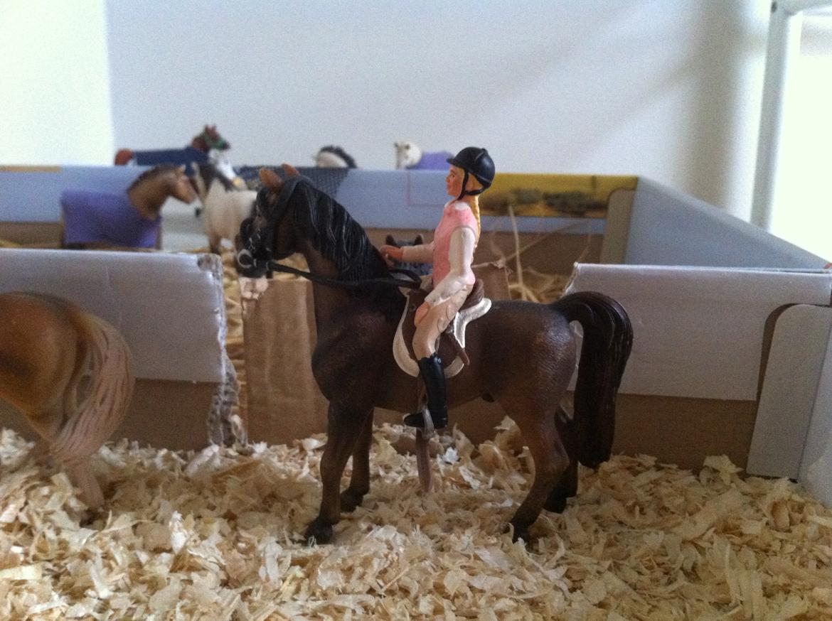 Schleich Araber Kokkedalens Matrix - Matrix kigger over til sine venner <3 billede 5