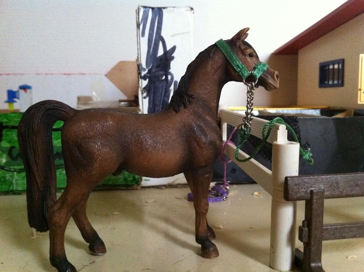 Schleich Araber Kokkedalens Matrix - Matrix savner sine foldkamarater :) billede 8