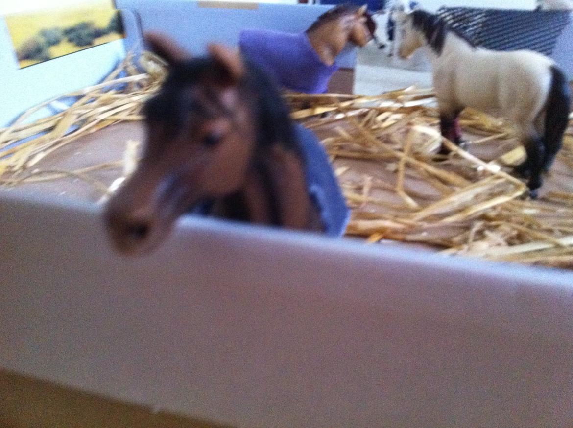 Schleich Araber Kokkedalens Matrix - SMUKKE <3 <3 billede 11