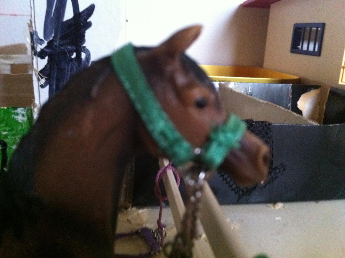 Schleich Araber Kokkedalens Matrix - velkommen til Matrix Matrix efter en ridetur <3 billede 1