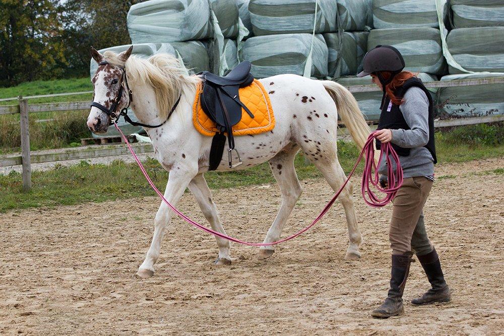 [Camilla Stormont] Undervisning og træning på NH - Frode som jeg havde i tilridning :) billede 1