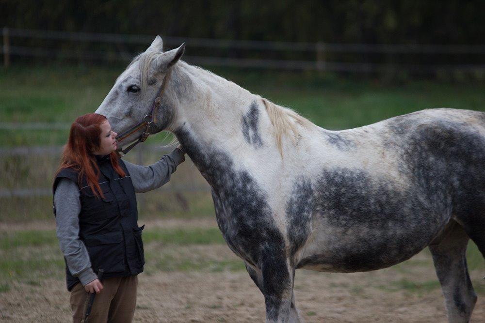 [Camilla Stormont] Undervisning og træning på NH - Mickey til løsspringning for første gang. billede 5