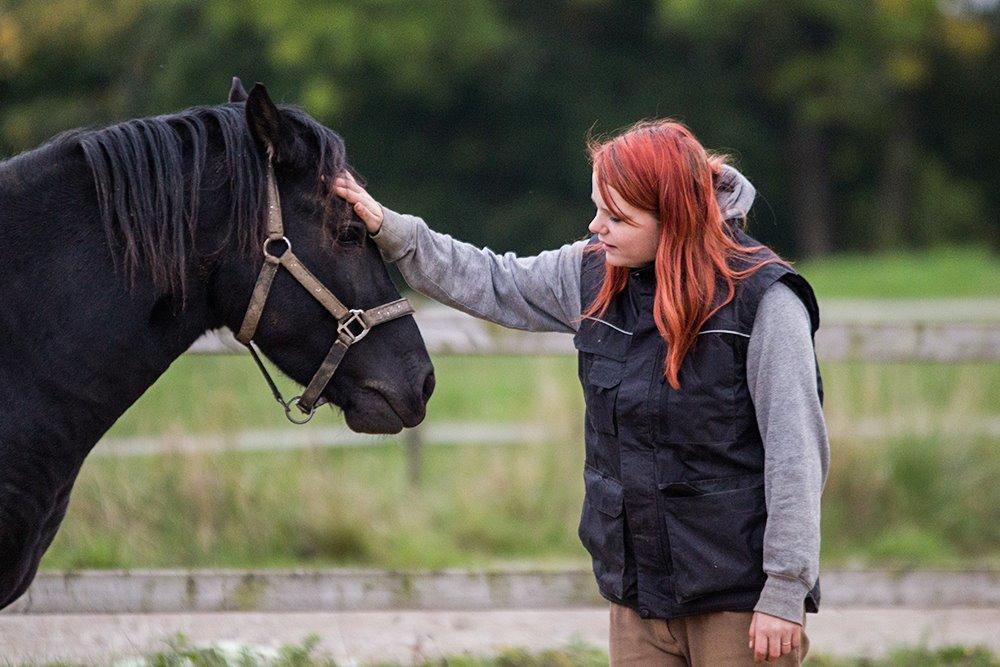 [Camilla Stormont] Undervisning og træning på NH - Træning af Milton. billede 6