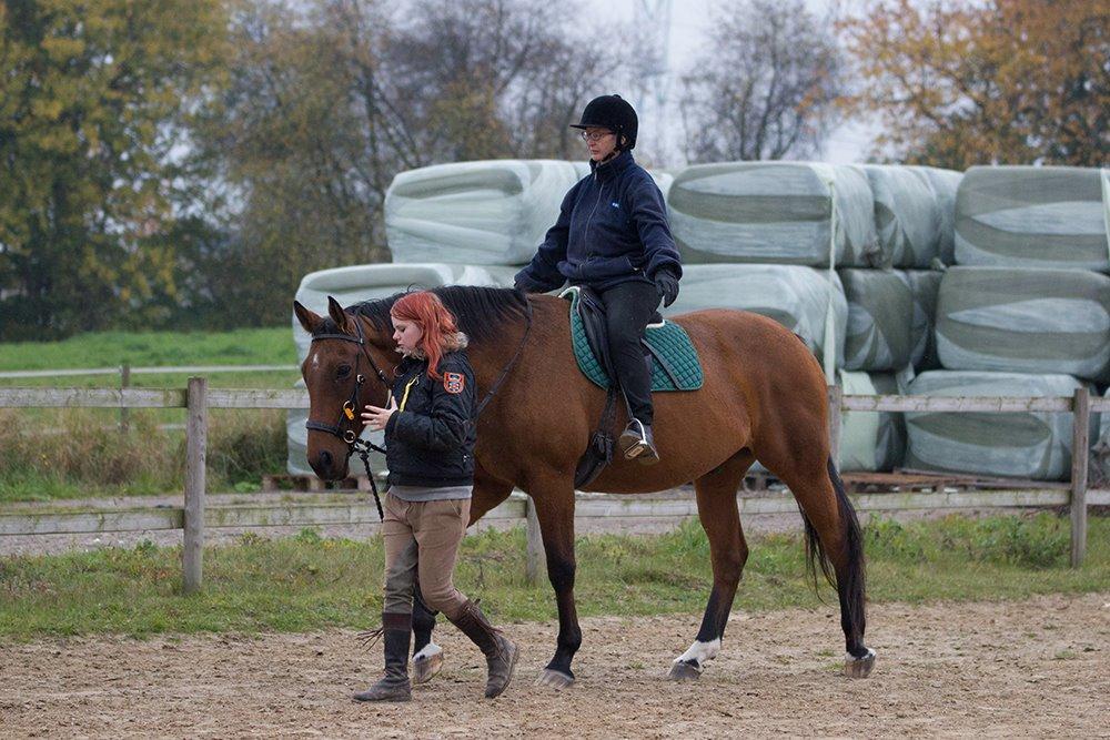 [Camilla Stormont] Undervisning og træning på NH - Undervisning af Hanne på Kin i Ryttercoaching. billede 10