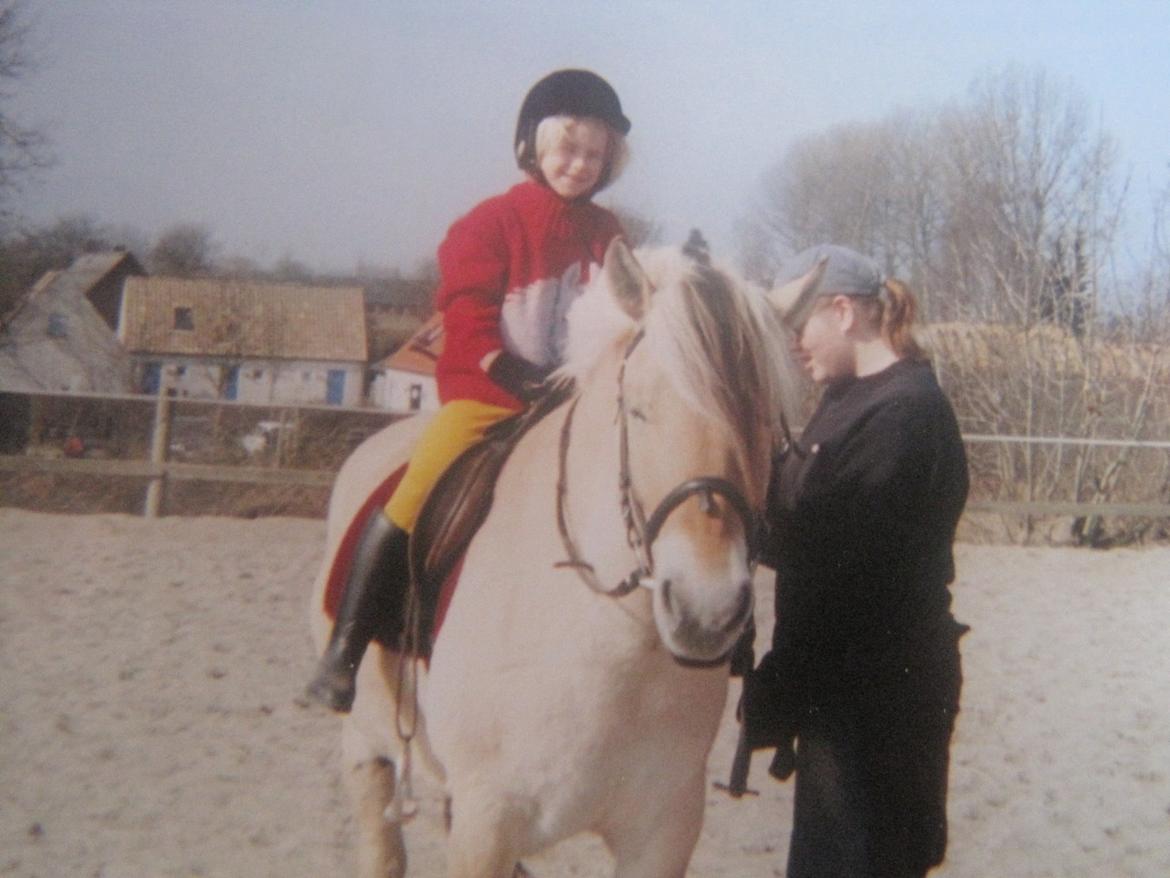 Min ridetid i billeder.  - Tulle - den første hest jeg red da jeg startede til ridning. Rigtig sød fjordbolle, dog bukkede hun når hun satte frem i galop - det var grunden til at jeg blev bange for at galopere, og senere hen grunden til at jeg stoppede med at ride i en overgang (ridelæreren smed mig af holdet, fordi jeg var blevet bange for at galopere).  billede 1