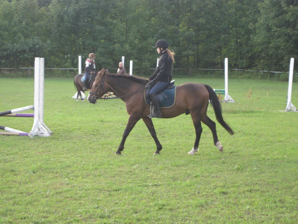 Min ridetid i billeder.  - Benjamin - en elevhest på MORK som jeg red til spring, og senere hen til dressur undervisning også. Her er til vores første springtime - hvilket var første gang jeg sad på ham også billede 4