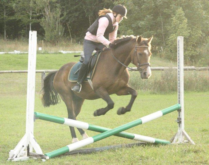 Min ridetid i billeder.  - Benjamin - en elevhest på MORK som jeg red til spring, og senere hen til dressur undervisning også. - en af vores første springtimer  billede 5