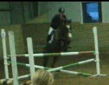 Min ridetid i billeder.  - Benjamin - en elevhest på MORK som jeg red til spring, og senere hen til dressur undervisning også. - i en LE for hest (80cm) hvor vi vandt :-) billede 6