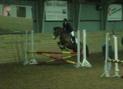 Min ridetid i billeder.  - Benjamin - en elevhest på MORK som jeg red til spring, og senere hen til dressur undervisning også. - i en LE for hest (80 cm) som vi vandt  billede 7