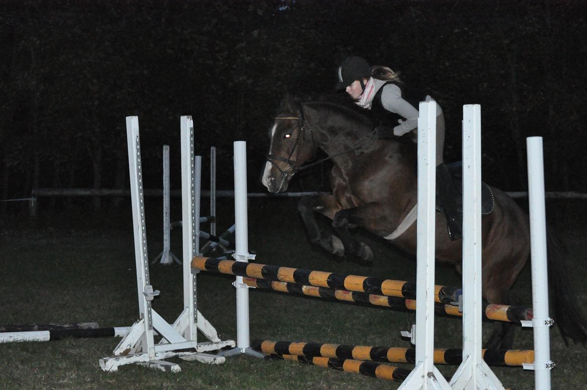 Min ridetid i billeder.  - Benjamin - en elevhest på MORK som jeg red til spring, og senere hen til dressur undervisning også.  billede 9