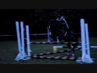 Min ridetid i billeder.  - Benjamin - en elevhest på MORK som jeg red til spring, og senere hen til dressur undervisning også.  billede 10