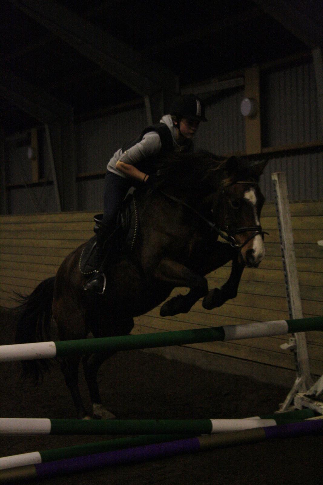 Min ridetid i billeder.  - Benjamin - en elevhest på MORK som jeg red til spring, og senere hen til dressur undervisning også.  billede 11
