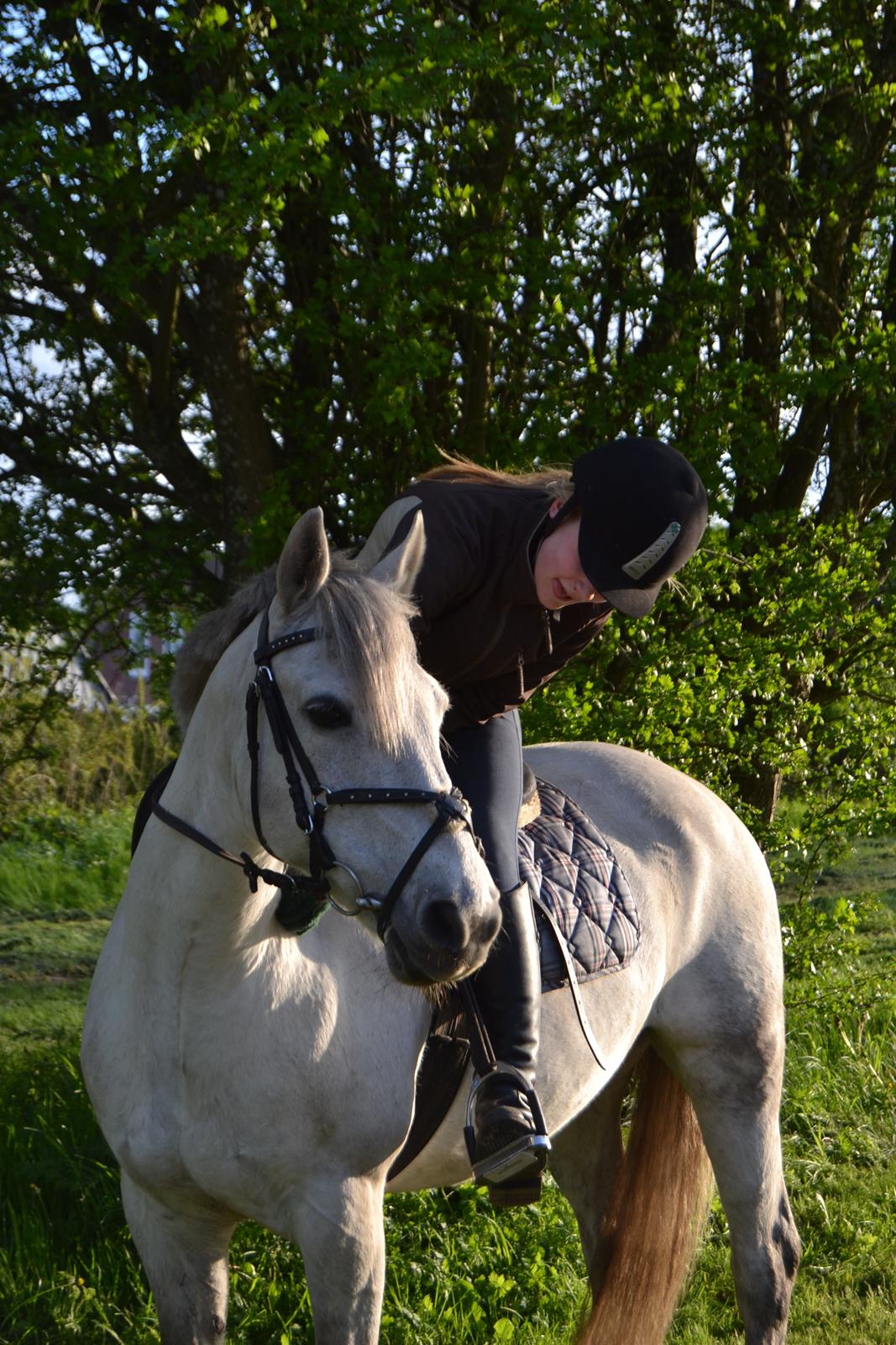 Min ridetid i billeder.  - Maus igen billede 12