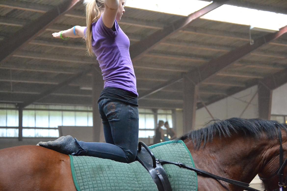 Min ridetid i billeder.  - Boswell - en hest jeg har redet lidt på, og ellers en jeg udøvede voltige på, til diverse arrangementer (fremvisning på havnen, sommerskole osv)  billede 14