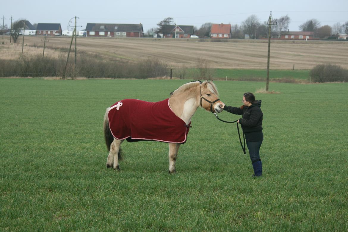 Tjalfe i uldtæppe! :') billede 2